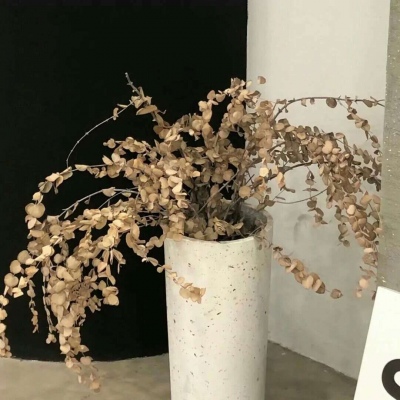 彭州福瑞交流群